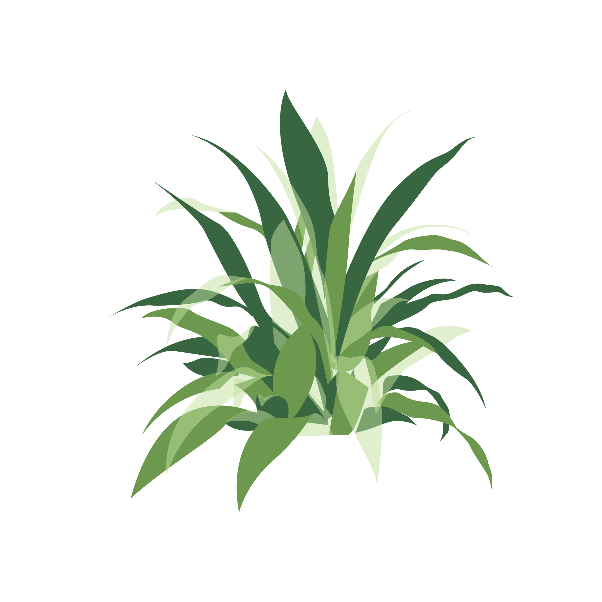 plant7